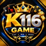 K116 Game